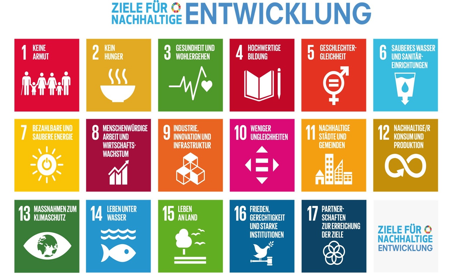 Bildung für nachhaltige Entwicklung (BNE)